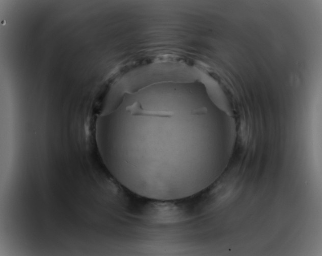X0000088190424200705221706