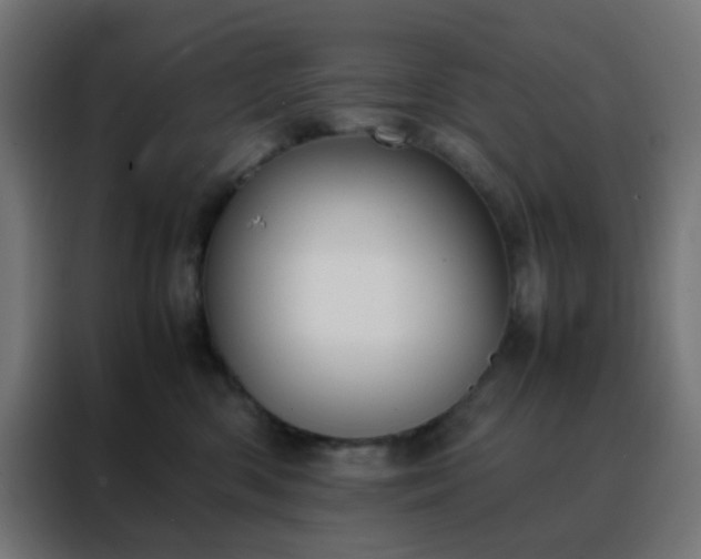 X0000088190426200705221706