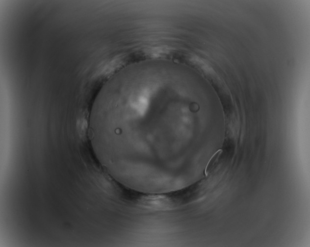X0000088190427200705221706