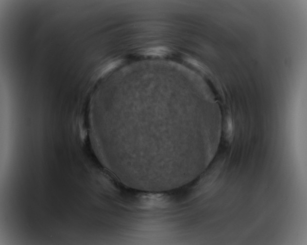 X0000088190428200705221706