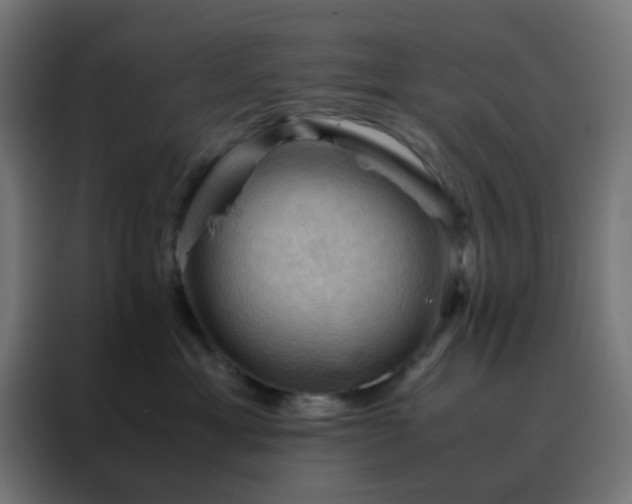 X0000088190429200705221706