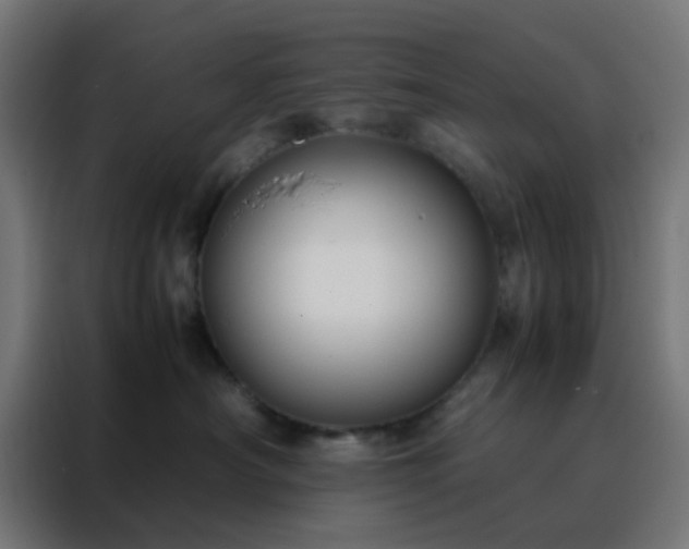 X0000088190430200705221706