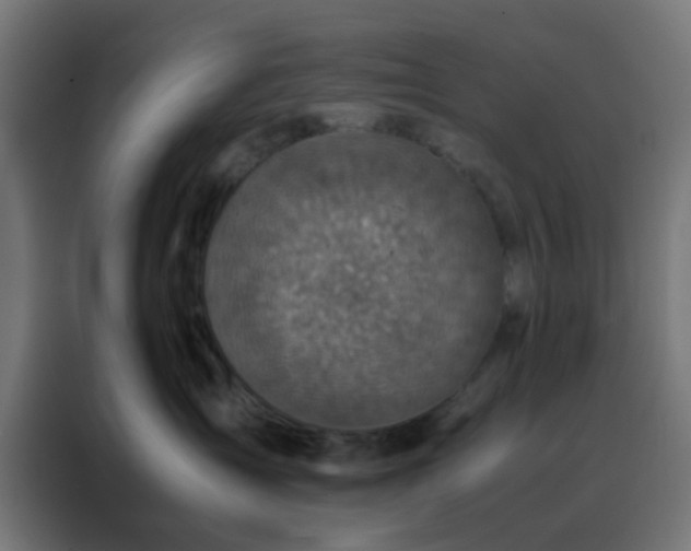 X0000088190431200705221706