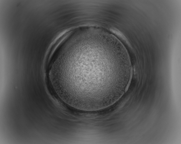 X0000088190436200705221705