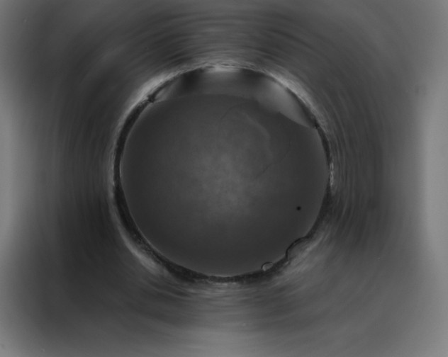X0000088190438200705221705