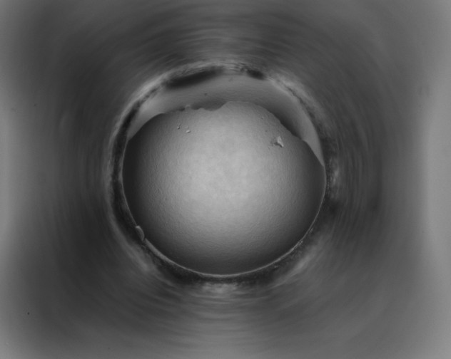 X0000088190440200705221705