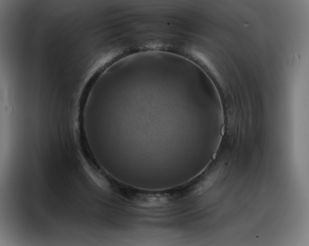 X0000088190443200705221705