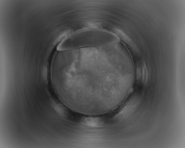 X0000088190444200705221705