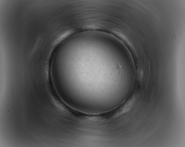 X0000088190446200705221705