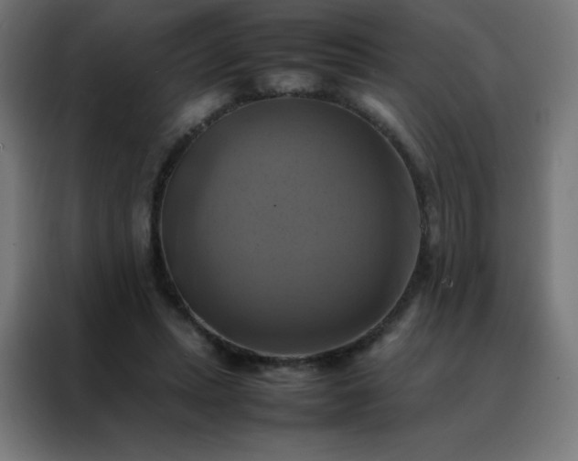X0000088190447200705221705