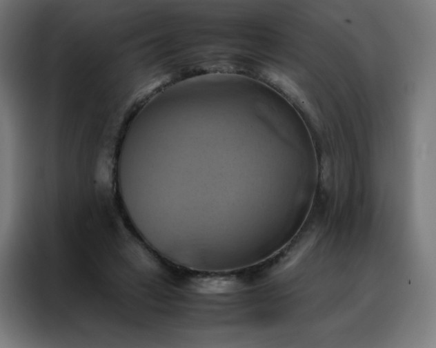 X0000088190449200705221705