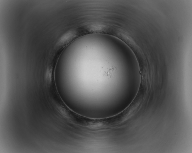 X0000088190454200705221706