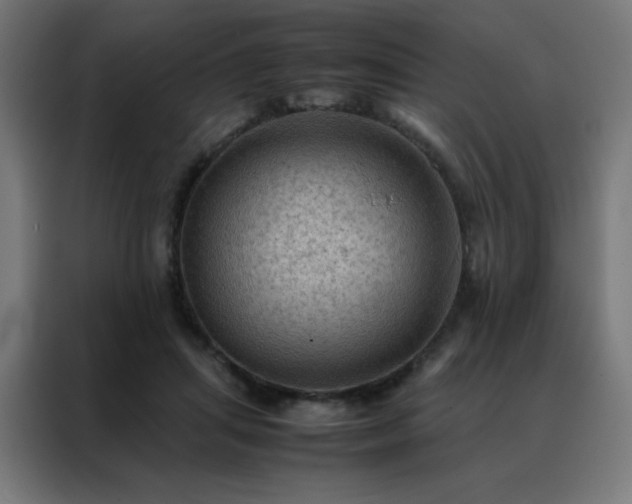 X0000088190455200705221706
