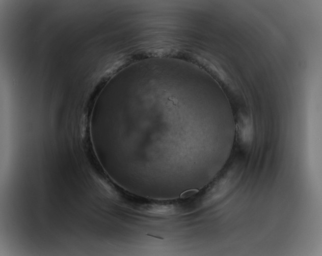 X0000088190458200705221706