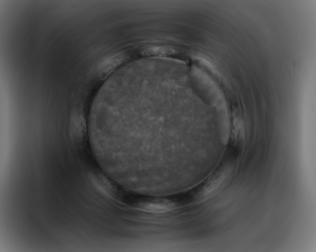 X0000088190459200705221706