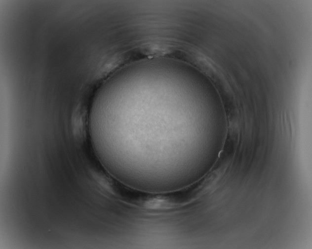X0000088190460200705221706