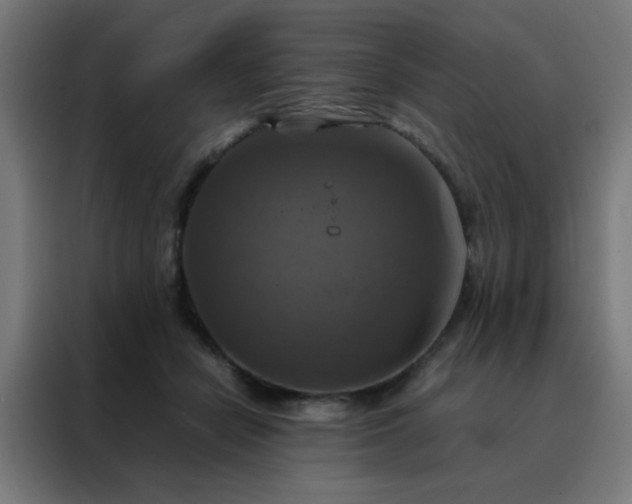 X0000088190462200705221706