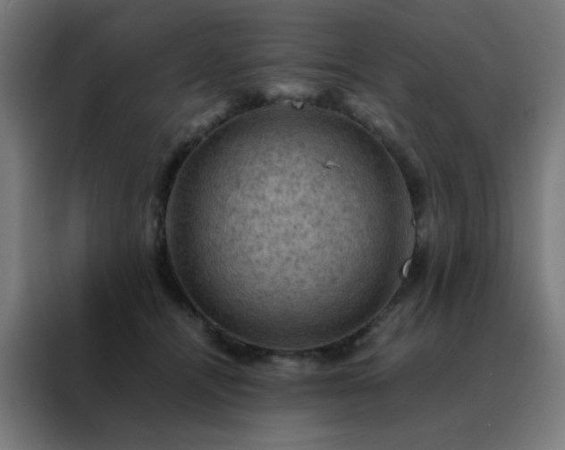 X0000088190464200705221706
