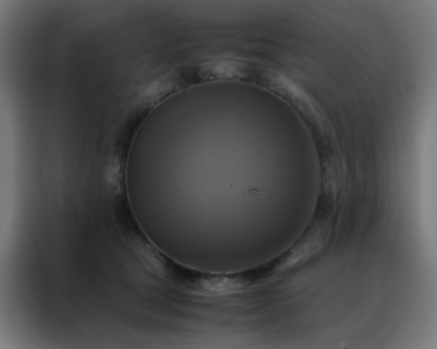 X0000088190465200705221706