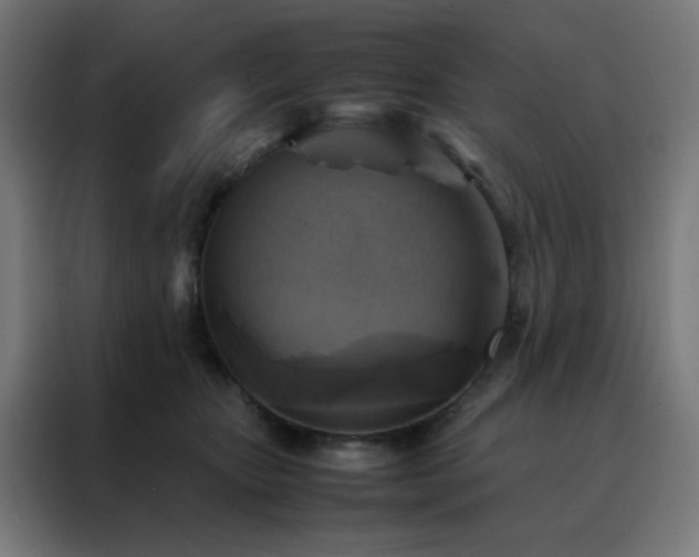 X0000088190467200705221706