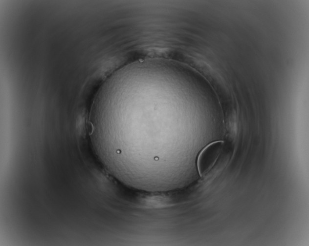 X0000088190468200705221706