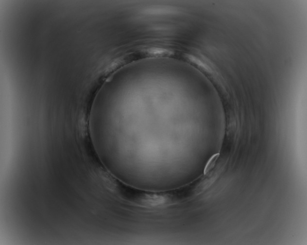 X0000088190469200705221706