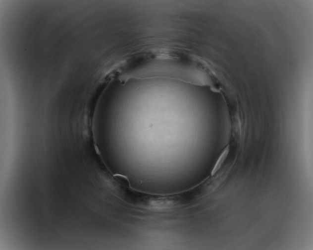 X0000088190470200705221706