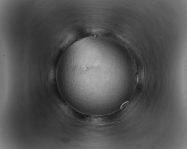 X0000088190472200705221706