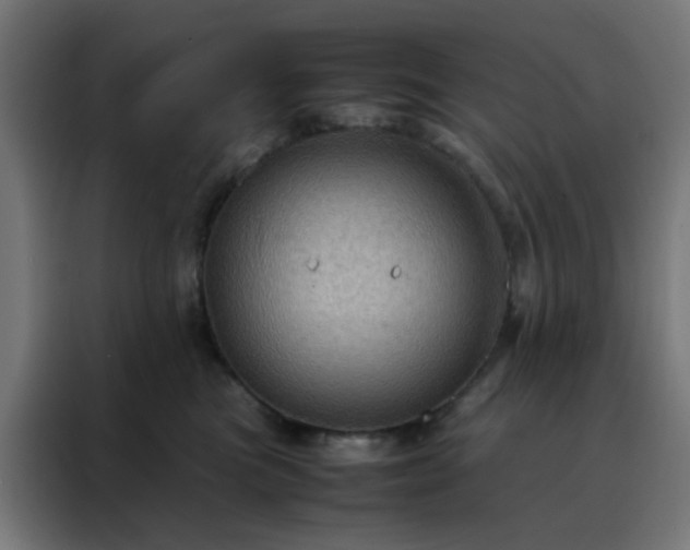 X0000088190473200705221706