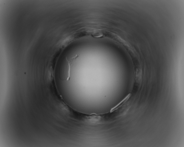 X0000088190474200705221706