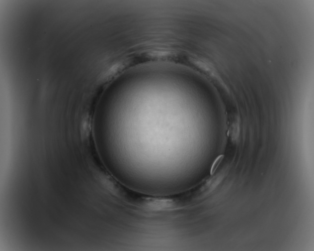 X0000088190476200705221706