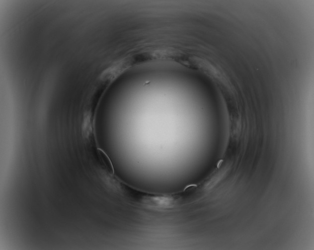 X0000088190478200705221706