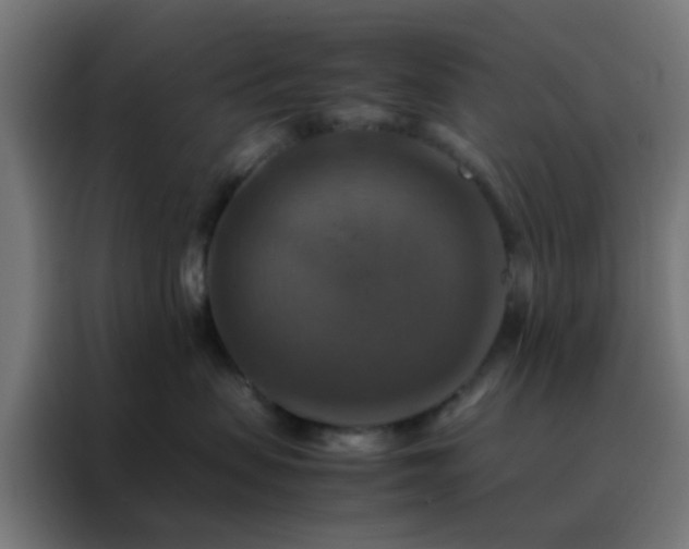 X0000088190479200705221706