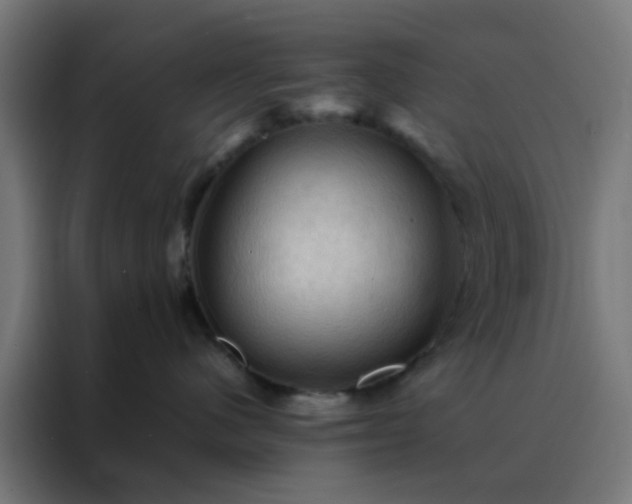 X0000088190480200705221706