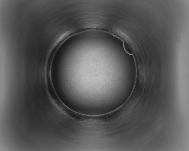 X0000088190482200705221705