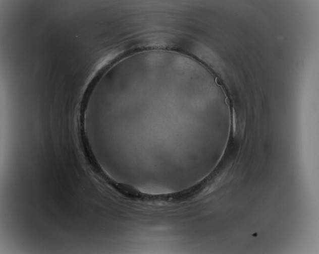 X0000088190483200705221705