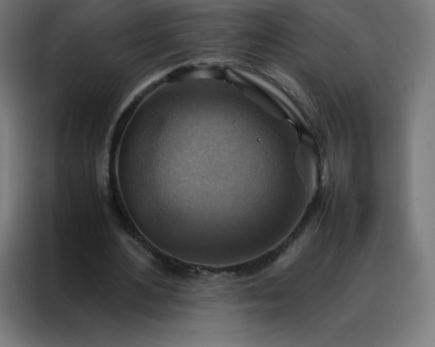 X0000088190484200705221705