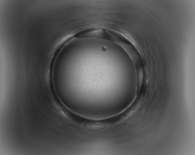 X0000088190485200705221705