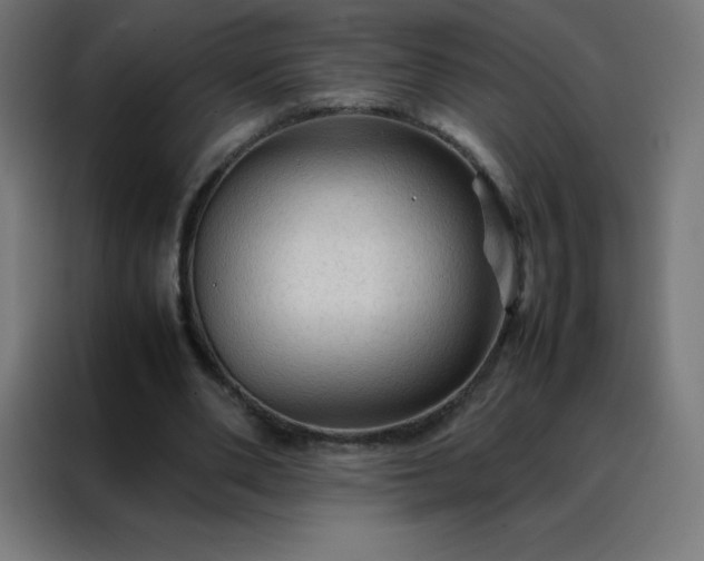 X0000088190486200705221705