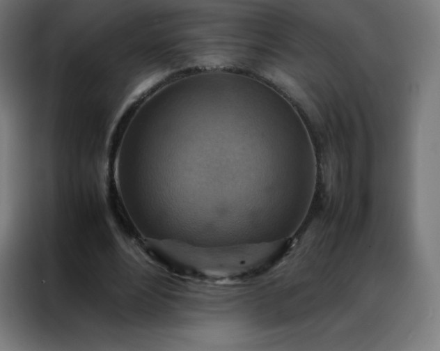 X0000088190488200705221705