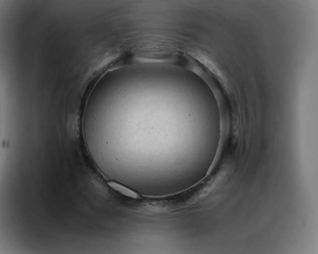 X0000088190489200705221705