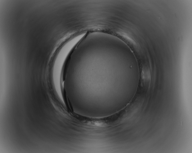 X0000088190492200705221705