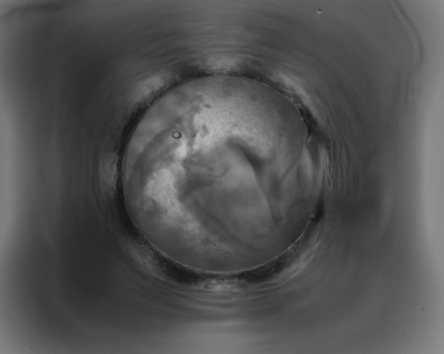 X0000088190495200705221705