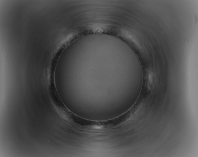 X0000088190496200705221705