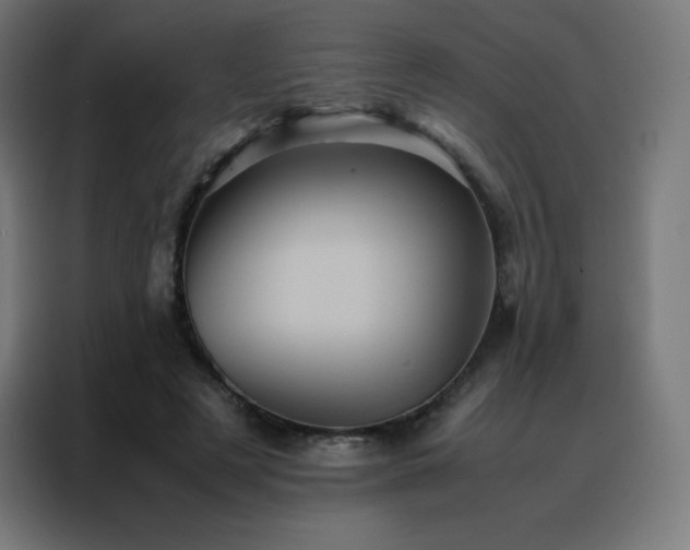 X0000088190497200705221705