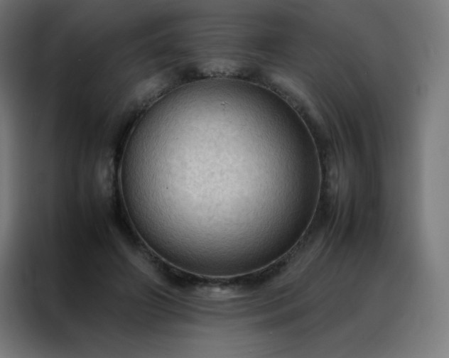 X0000088190498200705221705