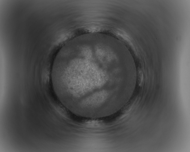 X0000088190499200705221705