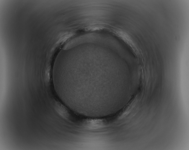 X0000088190501200705221705