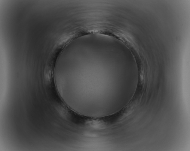 X0000088190503200705221705