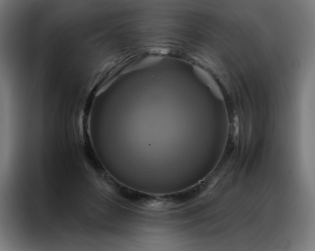 X0000088190504200705221705